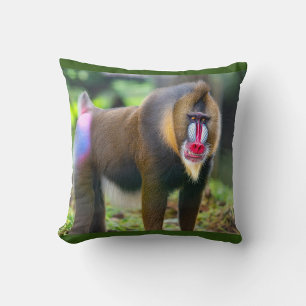 Coussin Baboon animal