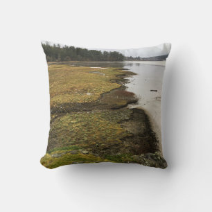 Coussin Baie Baker, cap Disappointment, Washington