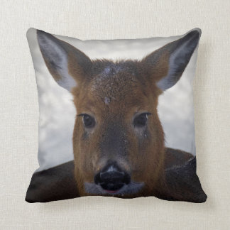 Coussin baie de Deer North