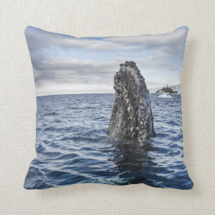 Coussin Baie d'espoir de Spyhops de baleine de bosse,