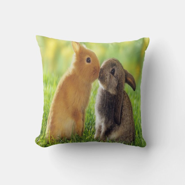 Coussin baiser de lapin (Recto)