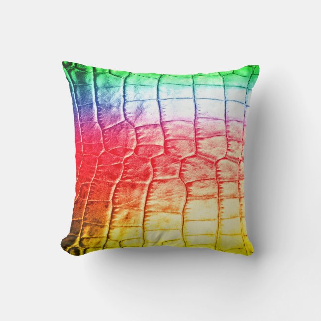 Coussin Balances arc-en-ciel (Recto)