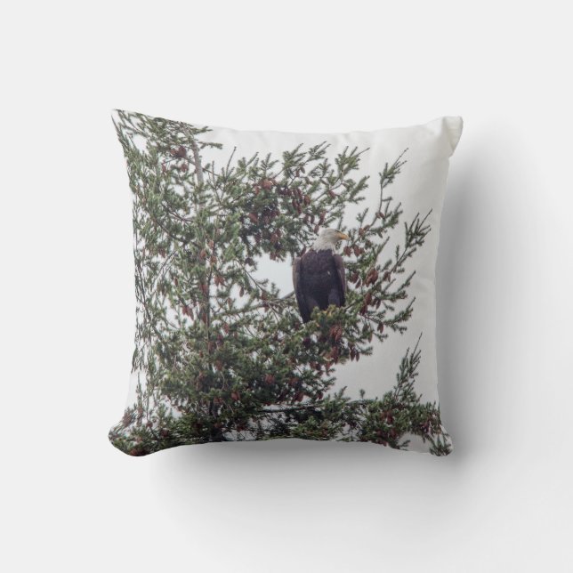 Coussin Bald Eagle P2825 (Recto)