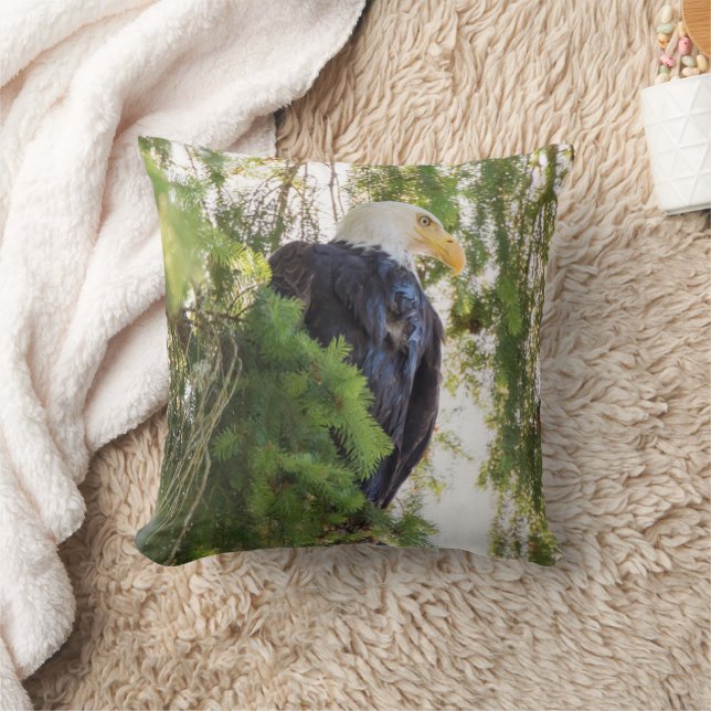 Coussin Bald Eagle perché dans Douglas Fir (Couverture)