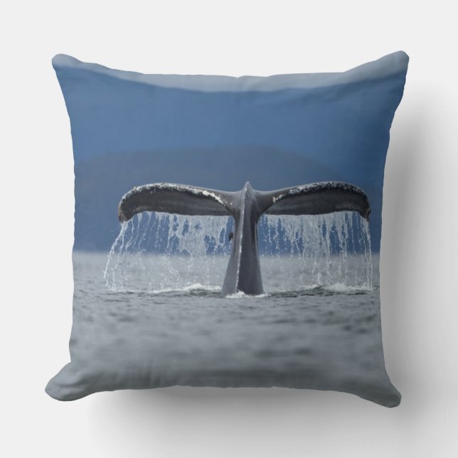 Coussin Baleine de bosse 2 (Recto)