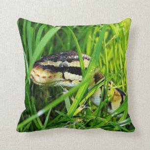 Coussin Ball Python serpent dans l'herbe
