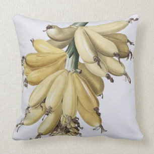 Coussin Banane, 1816