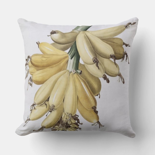 Coussin Banane, 1816 (Recto)