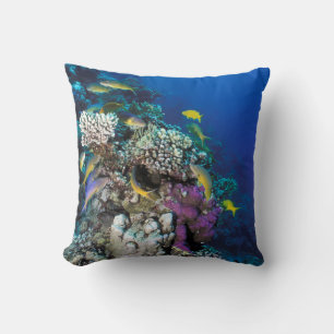 Coussin Banc de rougets autour d'un petit corail