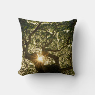 Coussin Banyan Tree Canopy Sunstar