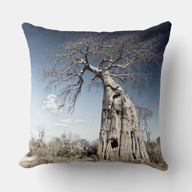 Coussin Baobab dans le parc national des piscines de Mana, (Recto)