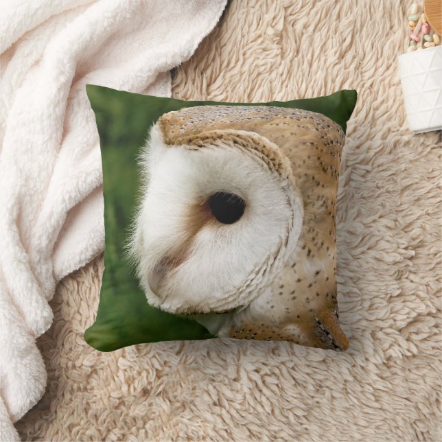 COUSSIN BARN OWLS (Couverture)