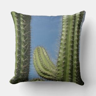 Coussin Barrel Cactus I Desert Photo