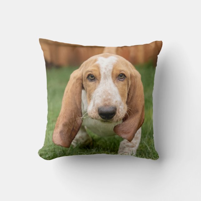 Coussin Basset Hound chiot marchant (Recto)
