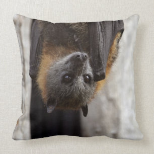 Coussin Batte australienne