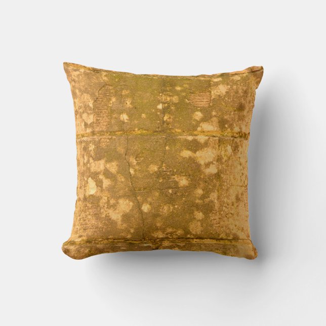 Coussin Beau arrière - plan vintage. Grunge deco Abstrait (Recto)