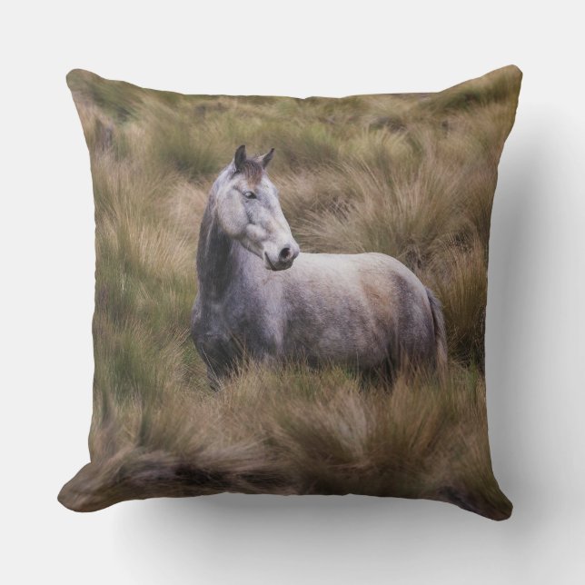 Coussin Beau Cheval gris coloré (Recto)