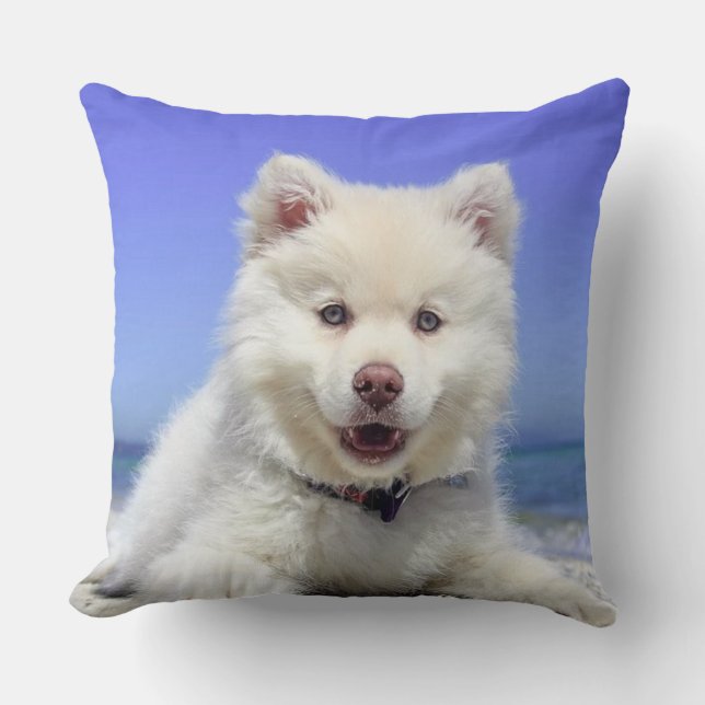 Coussin Beau chien Samoyède (Recto)