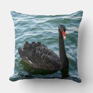 Coussin Beau cygne noir