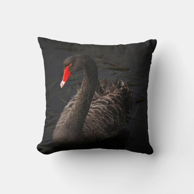 Coussin Beau cygne noir flottant sur une rivière (Recto)