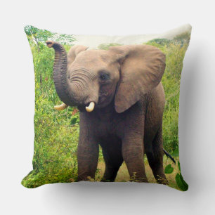 Coussin Beau éléphant africain et Plantes tropicaux