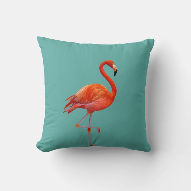 Coussin Beau Flamant Rose Corail sur Teal (Recto)