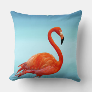 Coussin Beau Flamant Rose sur Fond Bleu Ciel Clair