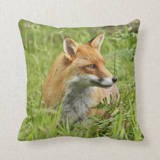 Coussin Beau Fox rouge parmi des fougères
