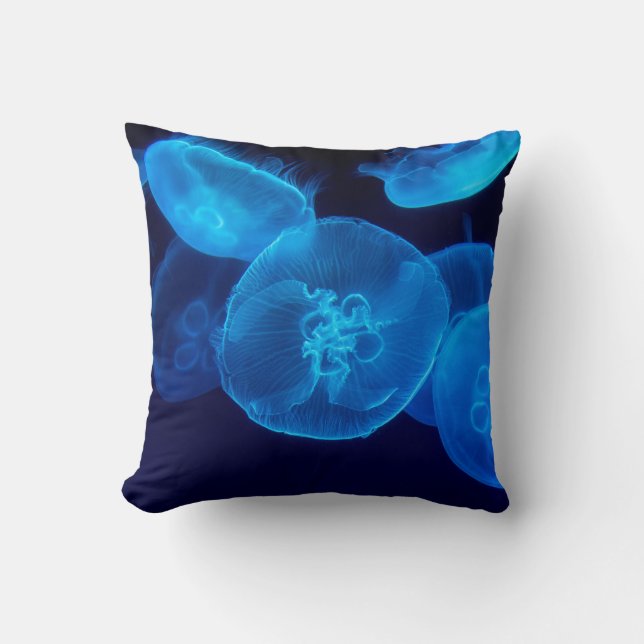 COUSSIN BEAU JELLYFISH (Recto)