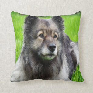 Coussin Beau Keeshond