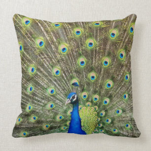 Coussin Beau oiseau de paon
