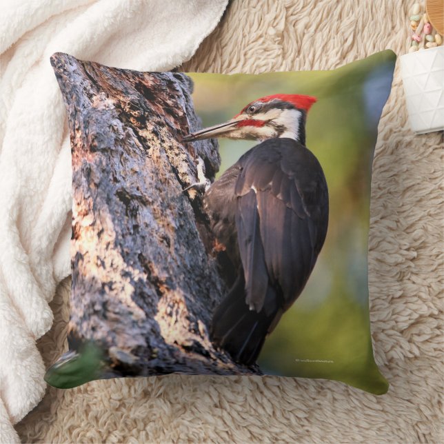 Coussin Beau Oiseau de pic pilé dans l'arbre (Couverture)