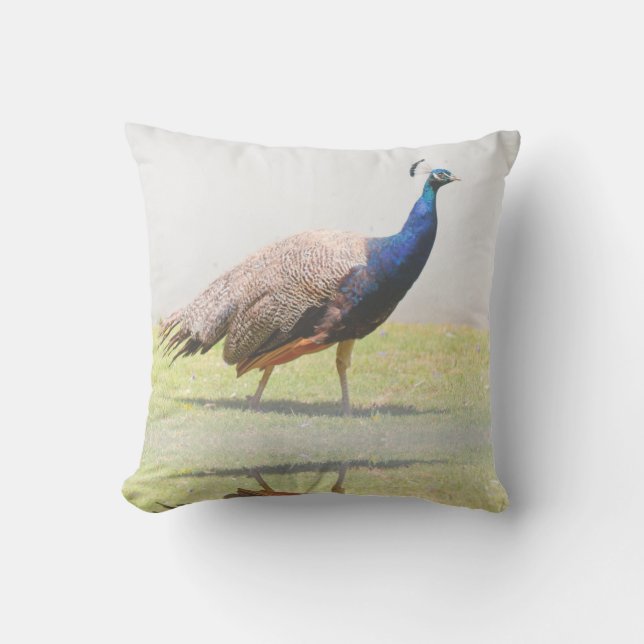 Coussin Beau Oiseaux de paon (Recto)