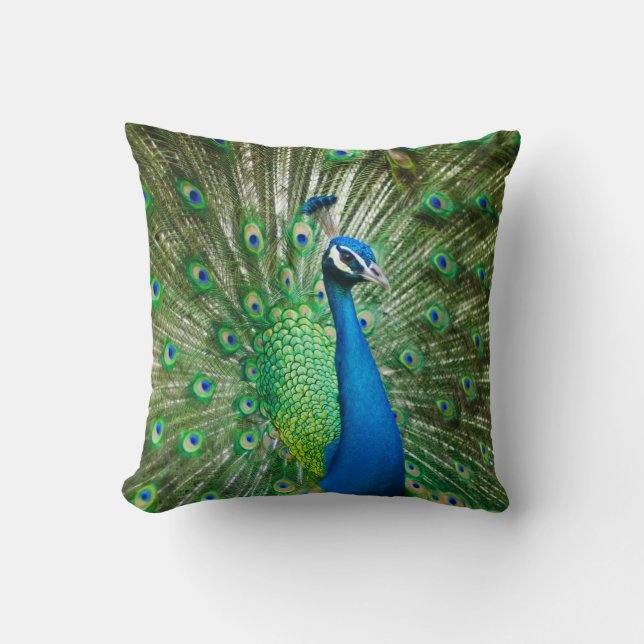 Coussin beau paon mâle (Recto)