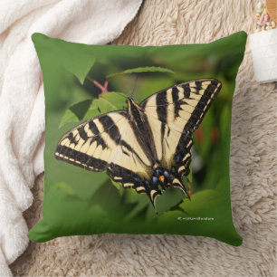 Coussin Beau papillon de l'Ouest de Tigre Swallowtail