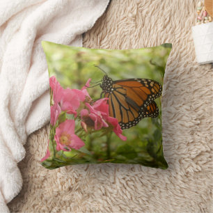 Coussin Beau papillon monarque