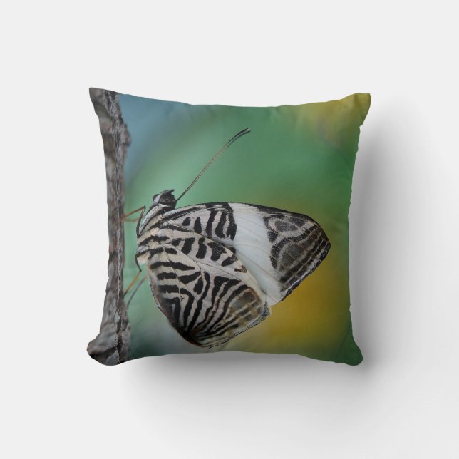Coussin Beau Papillon Zèbre Mosaïque (Recto)