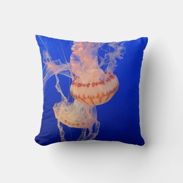 Coussin Beau Paysage Marin (Recto)
