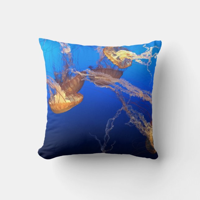 Coussin Beau Paysage Marin (Recto)