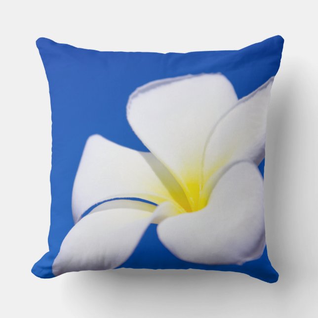 Coussin Beau Plumeria tropical blanc et ciel bleu (Recto)