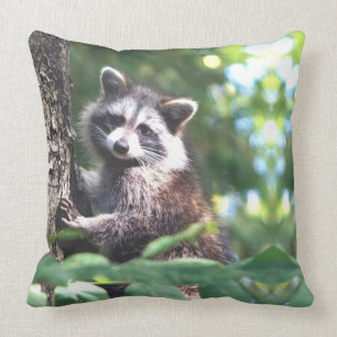 Coussin Beau raton laveur dans la jungle