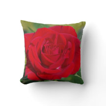 Beauté de rose rouge