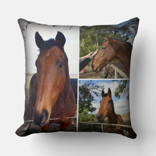 Coussin Beauté du cheval Brown, collage, (Recto)