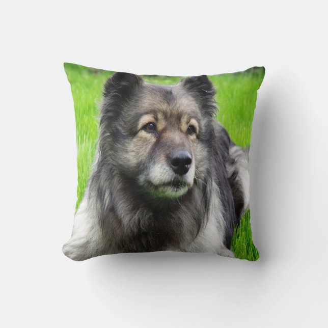 Coussin Beautiful Keeshond (Recto)