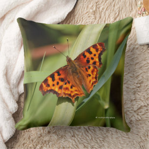 Coussin Beautiful Orange Satyr Comma Butterfly