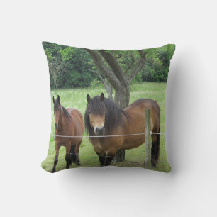 Coussin Beaux Chevaux