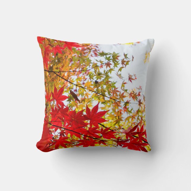 Coussin Beaux Feuilles rouges changeant de couleur (Recto)