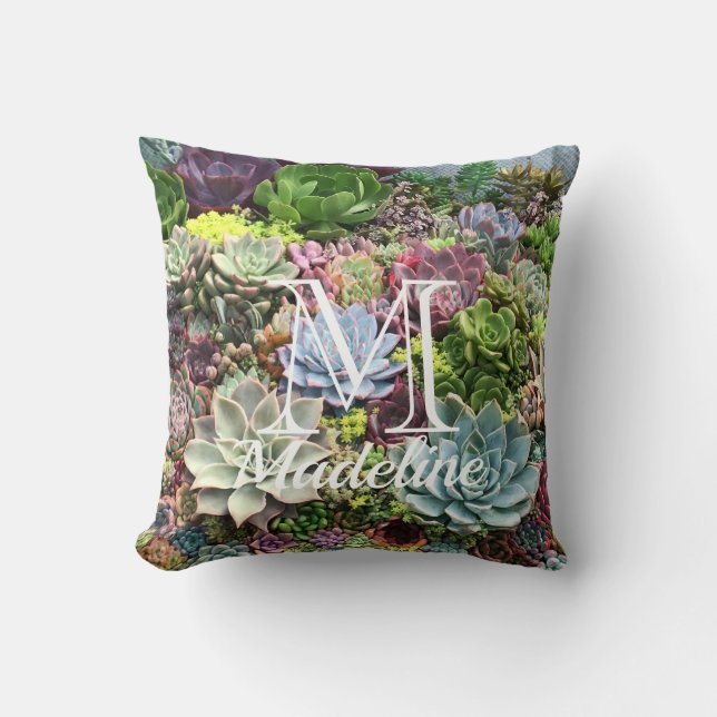Coussin Beaux succulents (Recto)