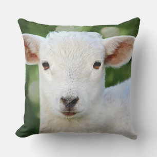 Coussin Bébé adorable mouton