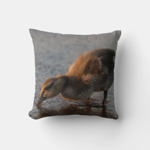 Coussin Bébé assoiffé